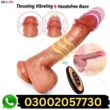 Realistic Dildo Vibrator Sex Toys in Pakistan